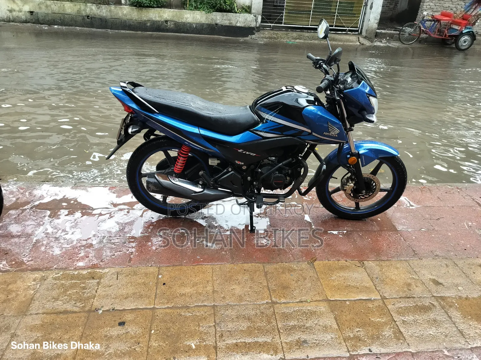 Honda 2024 Blue