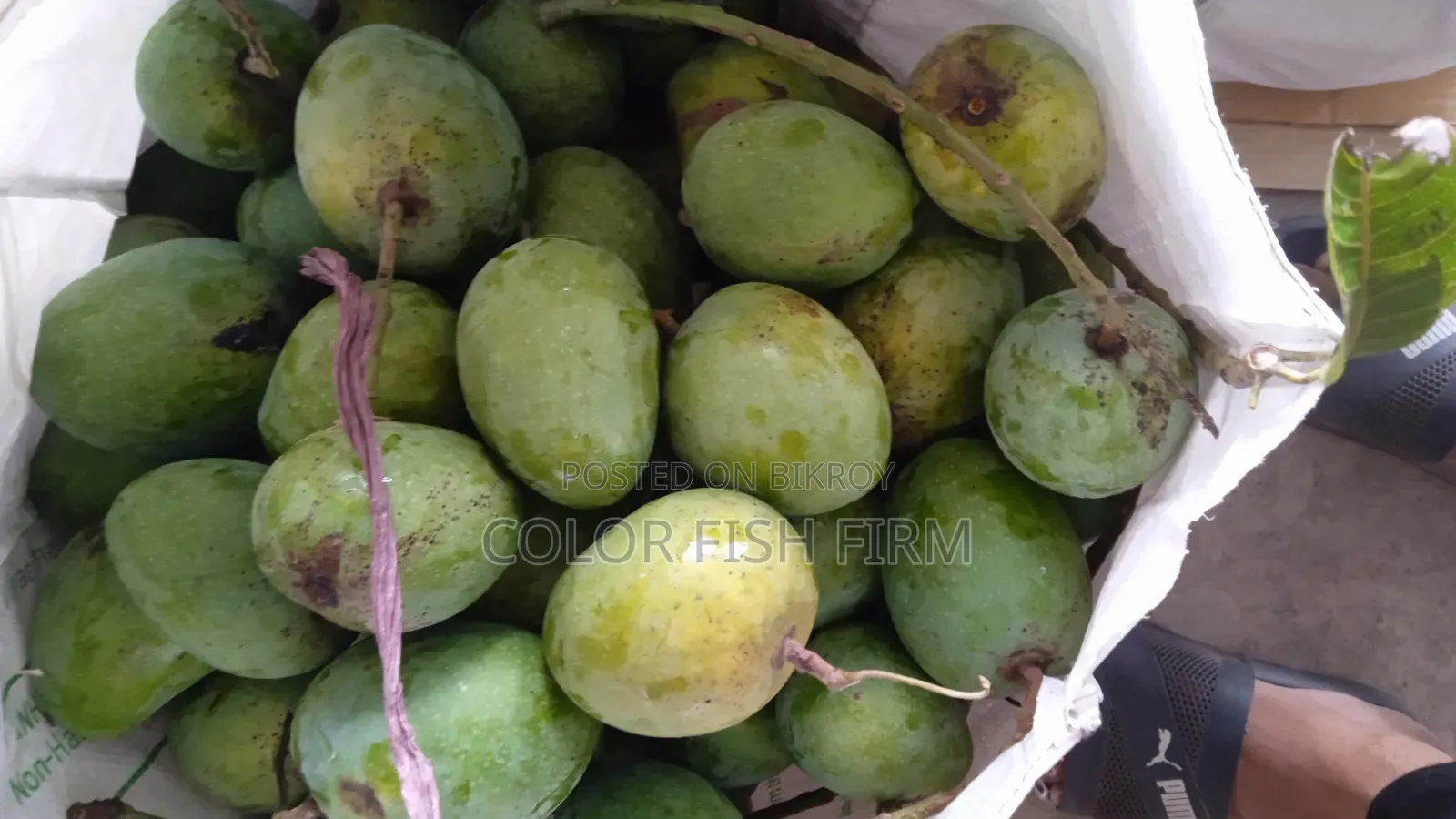 রাজশাহীর আম
