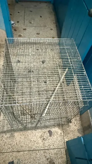 খাচাটা বিক্রি হবে
