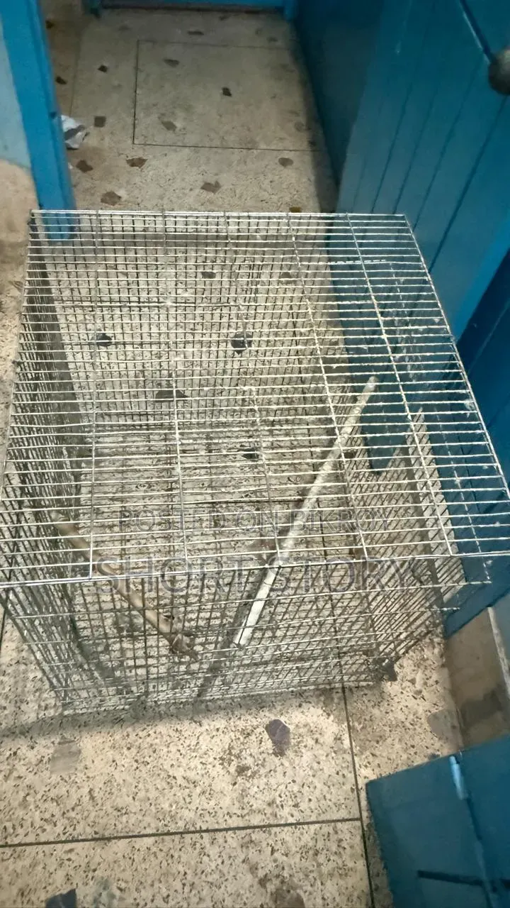 খাচাটা বিক্রি হবে