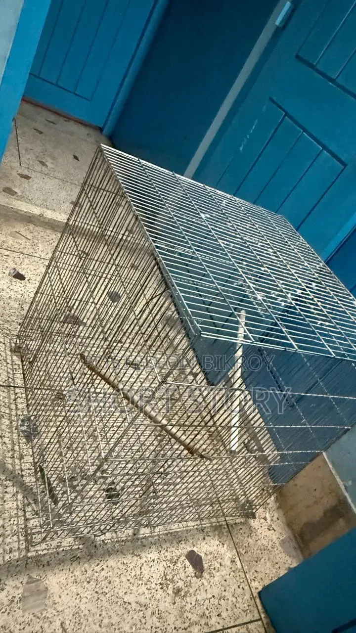 খাচাটা বিক্রি হবে