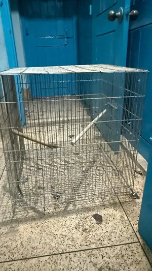 খাচাটা বিক্রি হবে