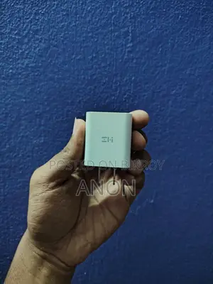 iPhone Charger