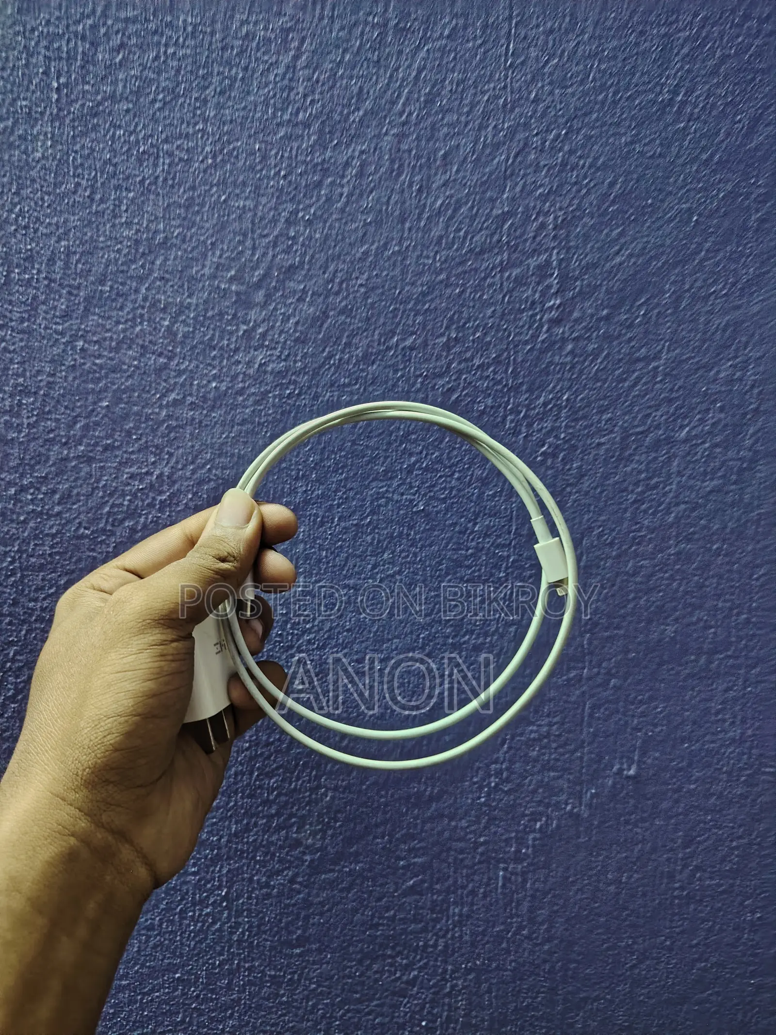 iPhone Charger