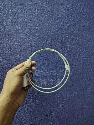 iPhone Charger