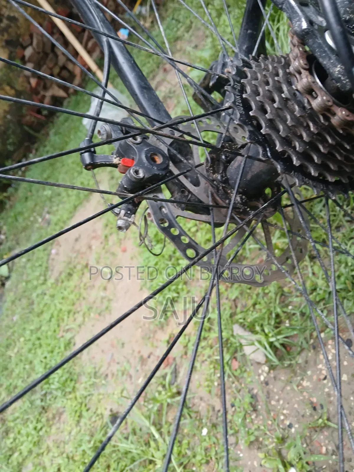 Veloce 606 Cycle