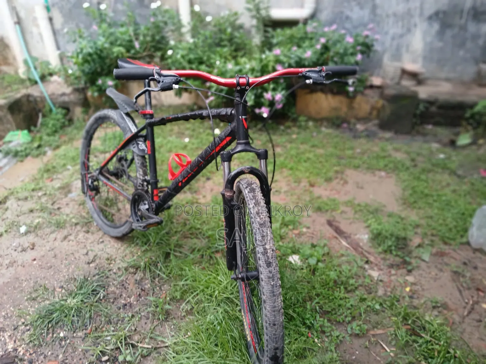 Veloce 606 Cycle