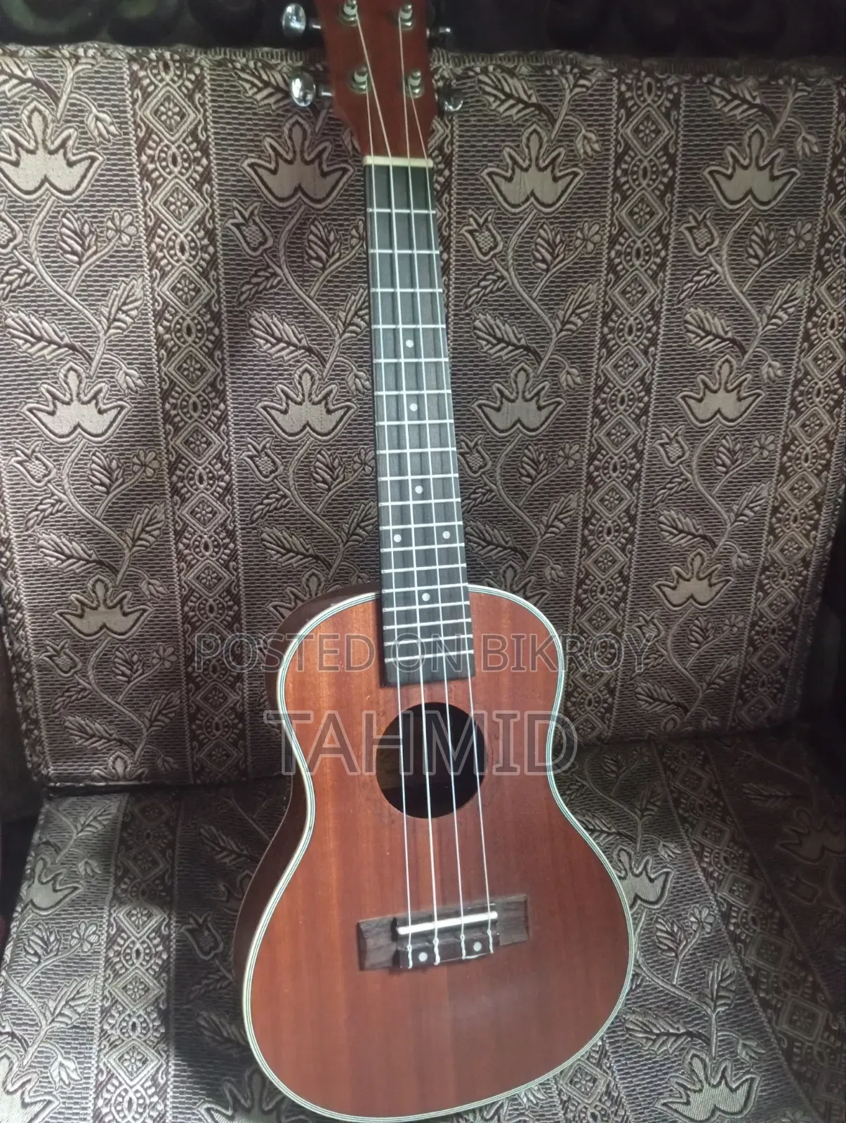 Ukelele ( Concert)