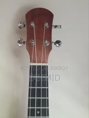 Ukelele ( Concert)