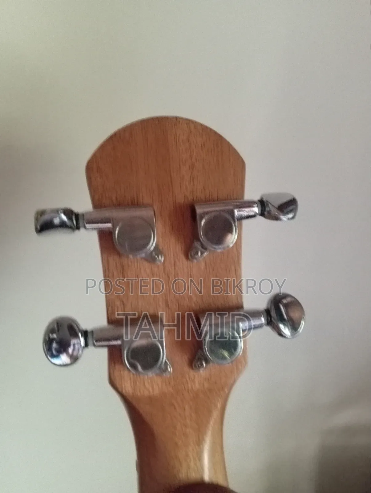 Ukelele ( Concert)