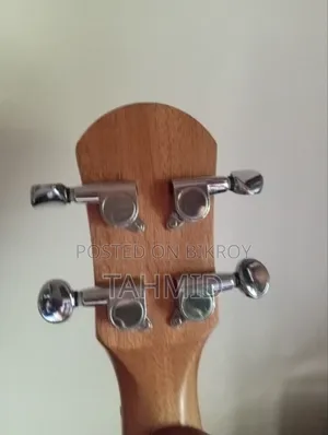 Ukelele ( Concert)
