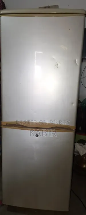 Singer Fridge