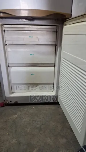 Singer Fridge