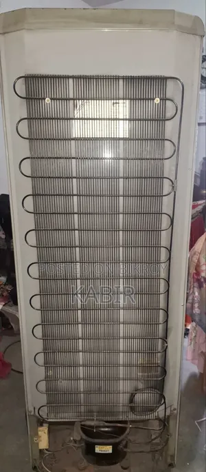 Singer Fridge