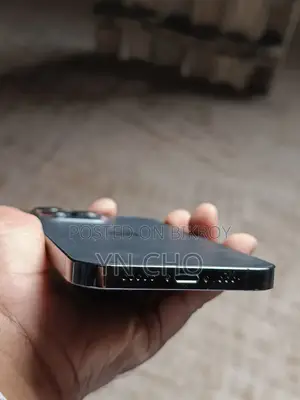 অ্যাপল আইফোন ১৩ প্রো ২৫৬ জিবি ব্ল্যাক