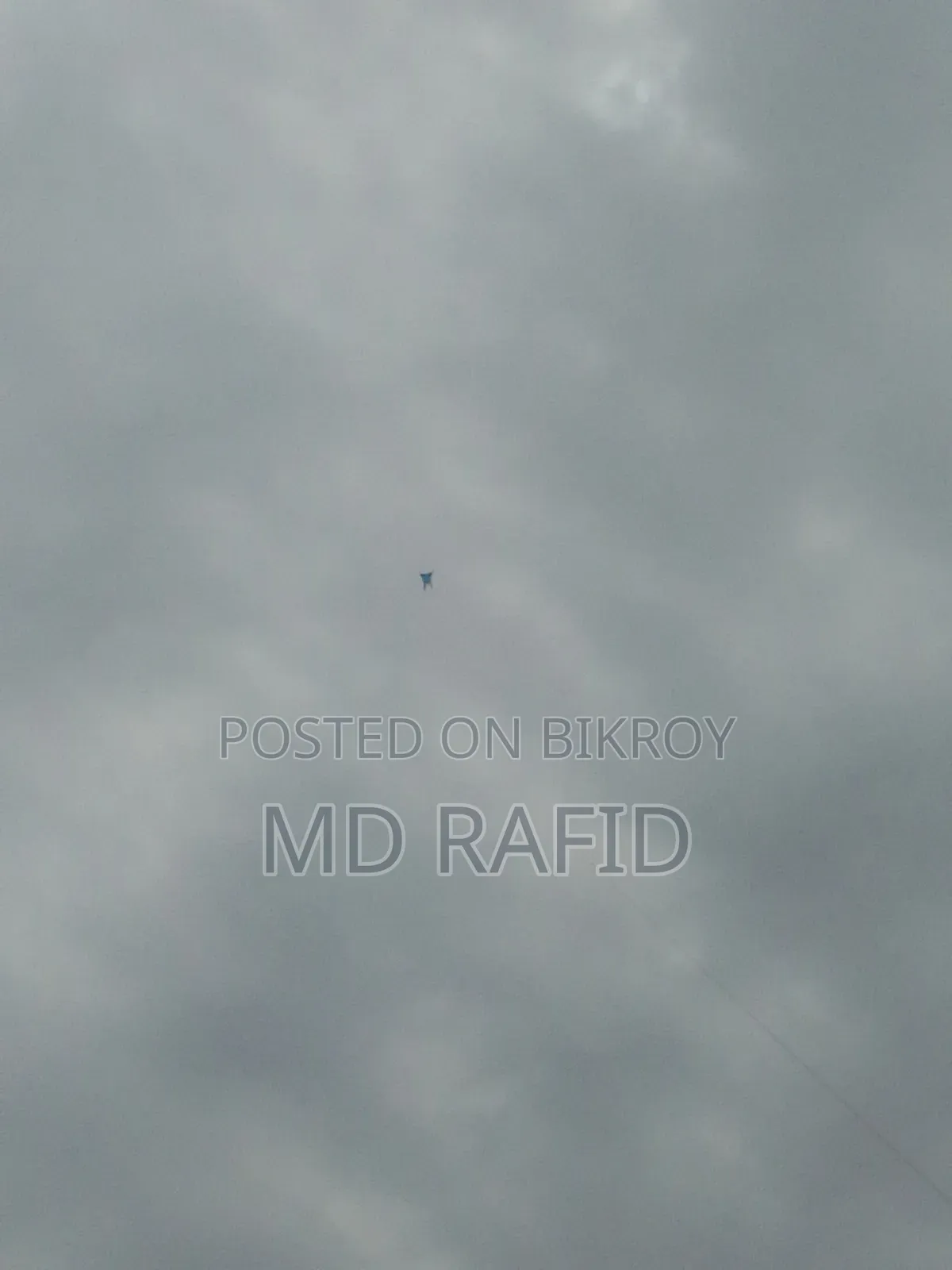 Big Kite