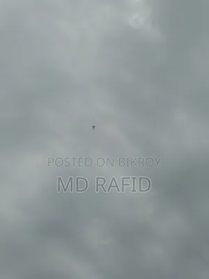 Big Kite
