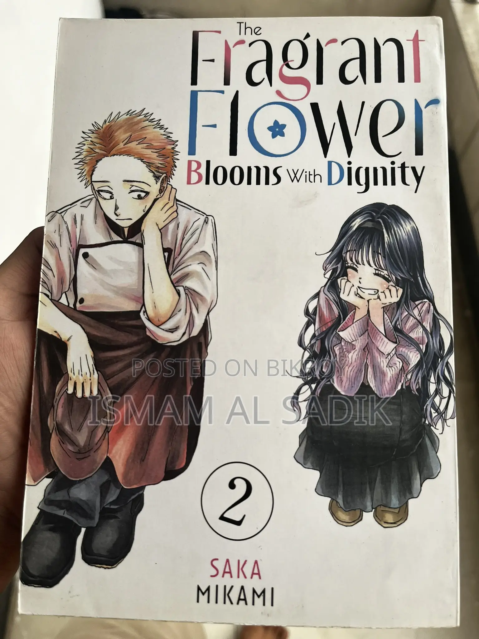 Selling Different Kinds of Mangas