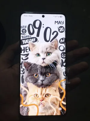 Xiaomi Redmi Note 13 Pro+ 256 GB White