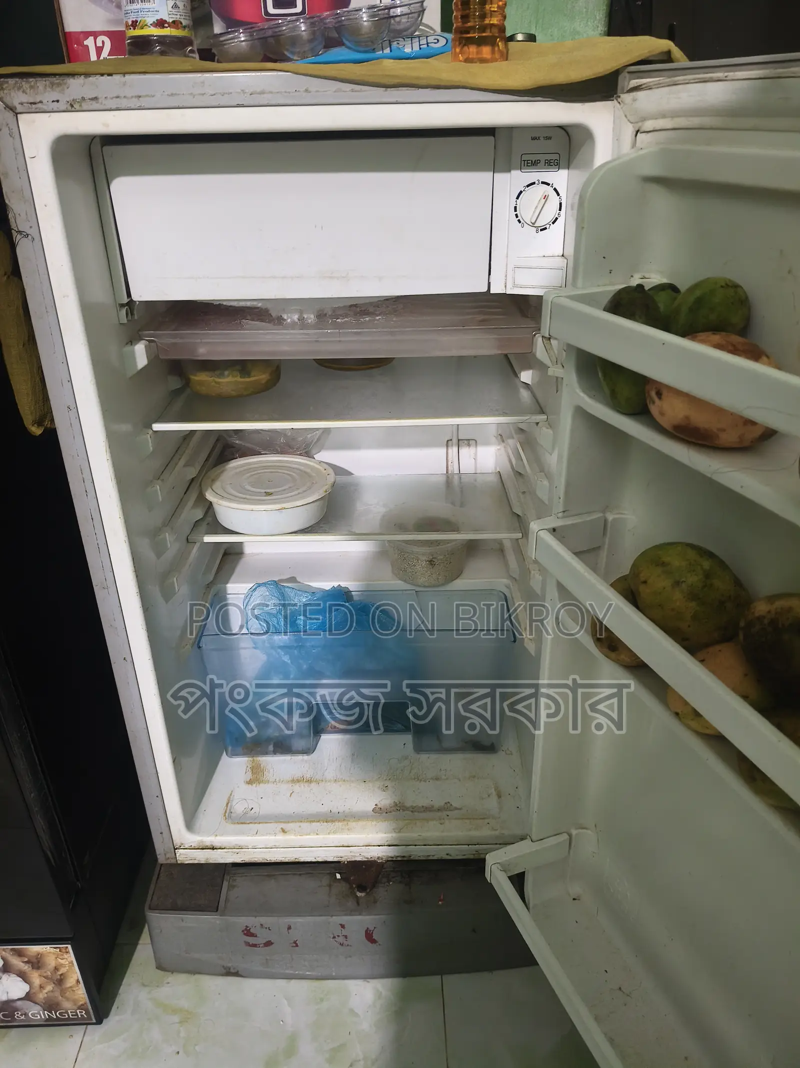 Singer Fridge