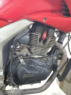 হিরো হাঙ্ক ২০০৯ লাল