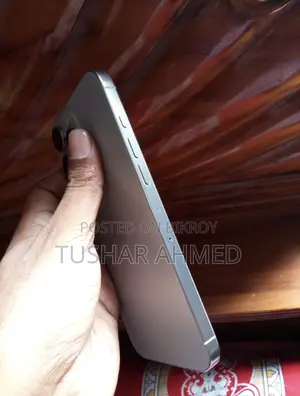 অ্যাপল আইফোন ১৬ প্রো ম্যাক্স ২৫৬ জিবি সিলভার