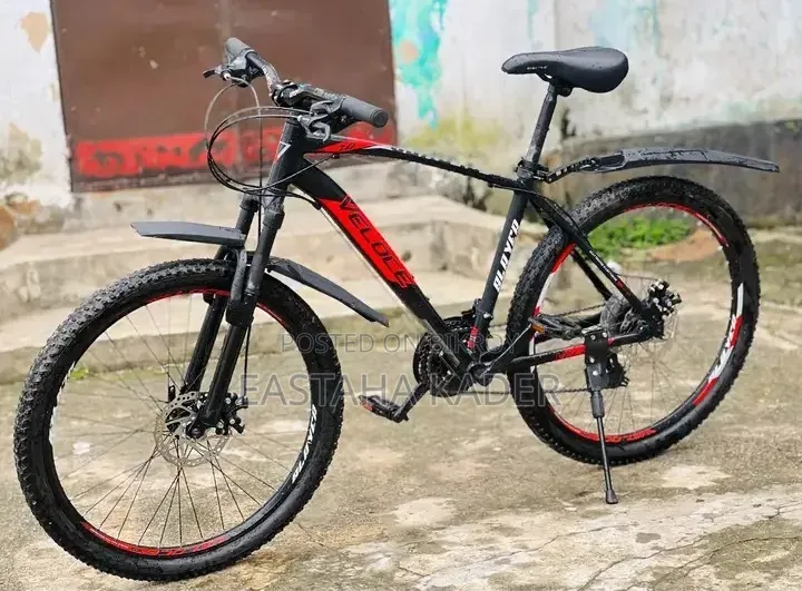 Veloce Cycle Model- Slayer 1.0