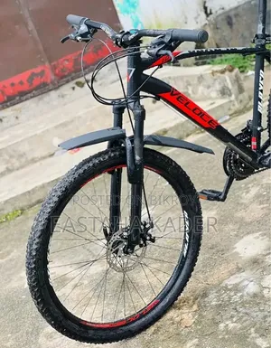 Veloce Cycle Model- Slayer 1.0
