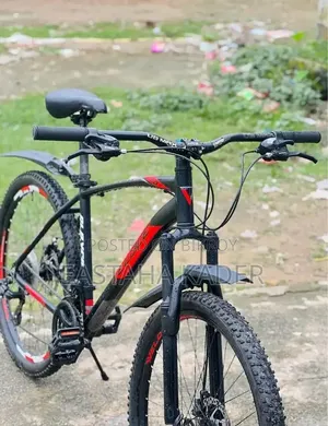 Veloce Cycle Model- Slayer 1.0