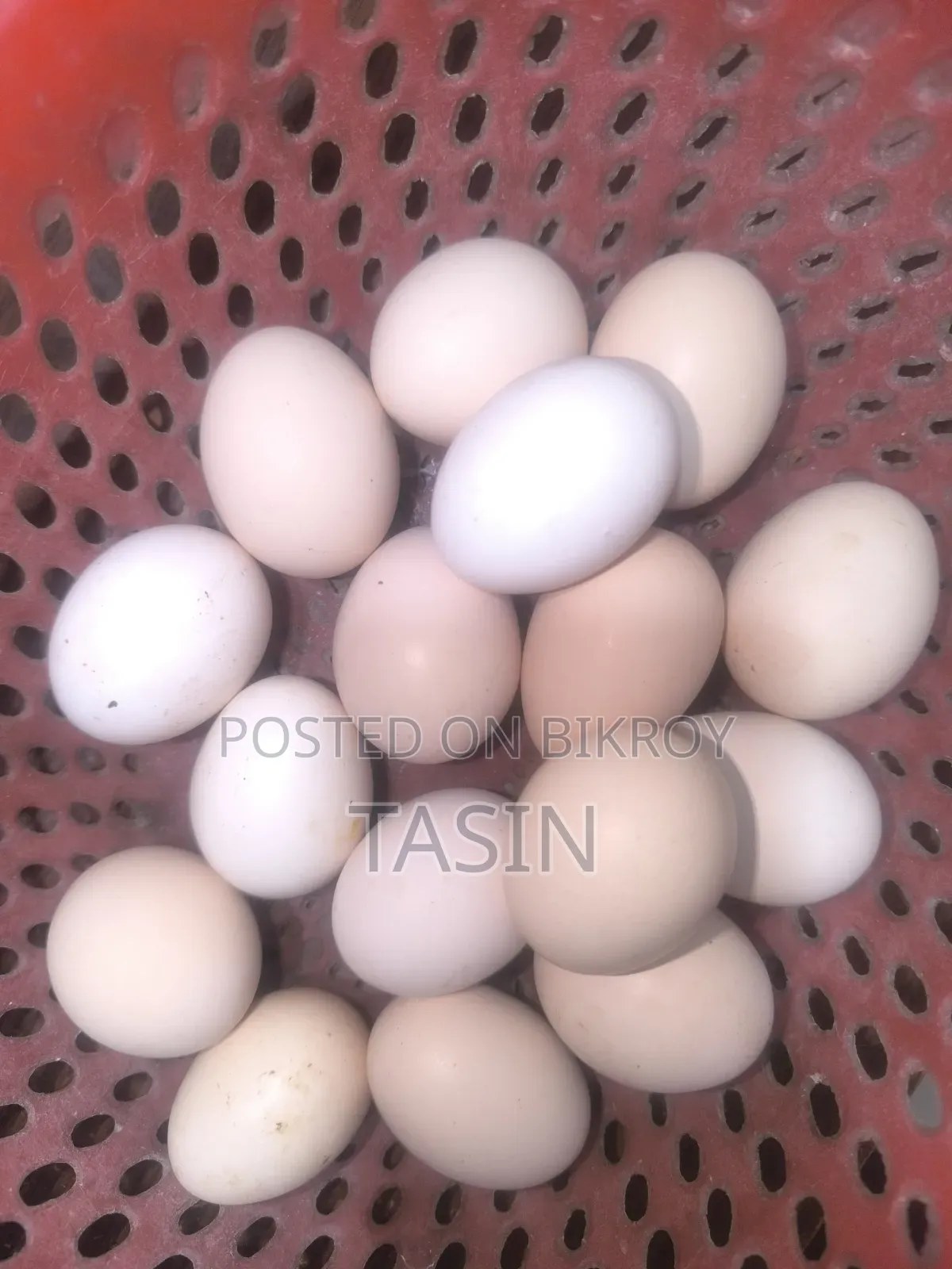 ১ হালি মুরগীর ডিম