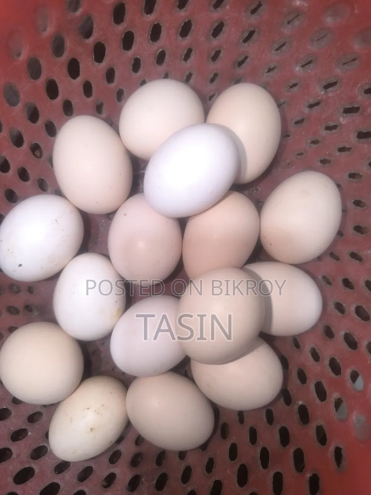 ১ হালি মুরগীর ডিম