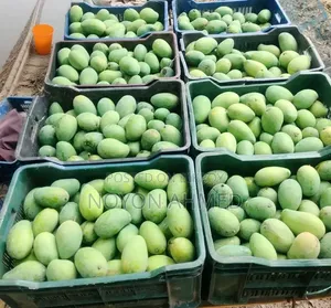 Rajshahi's Famous Himsagar