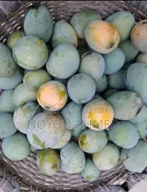 Rajshahi's Famous Himsagar