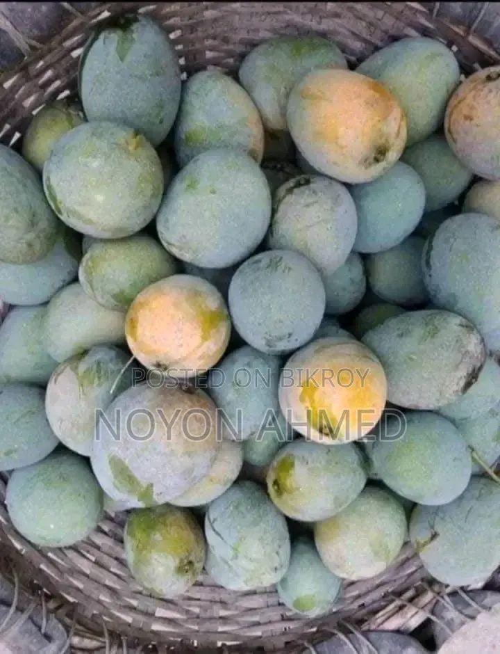 Rajshahi's Famous Himsagar