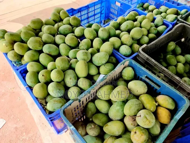 Rajshahi's Famous Himsagar