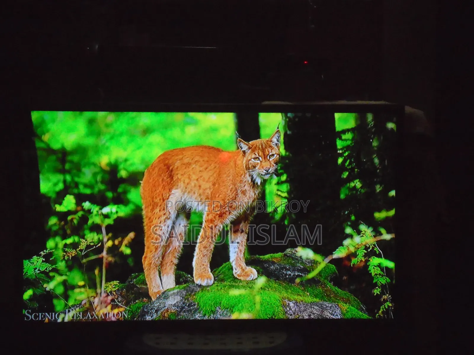 Walton 32” Smart TV – Fresh Condition