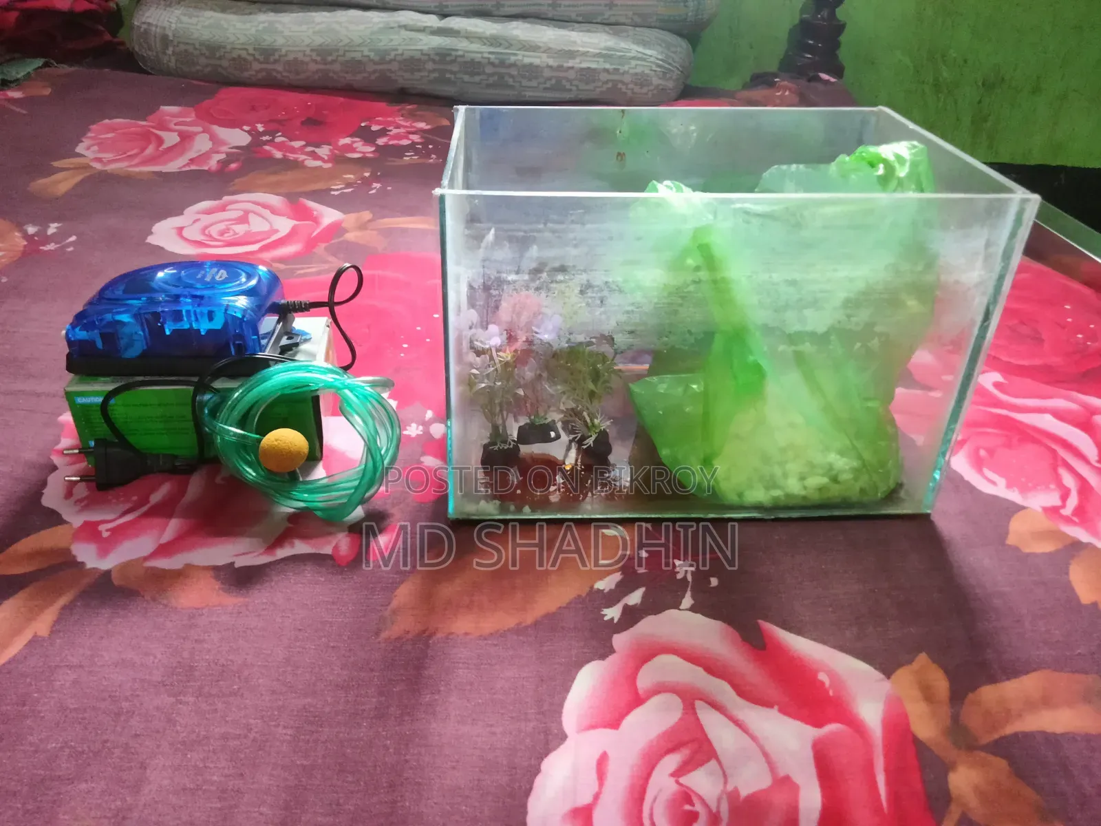 মাছের ছেটাপ