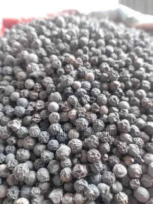 পিওর স্পাইস চিটাগং
