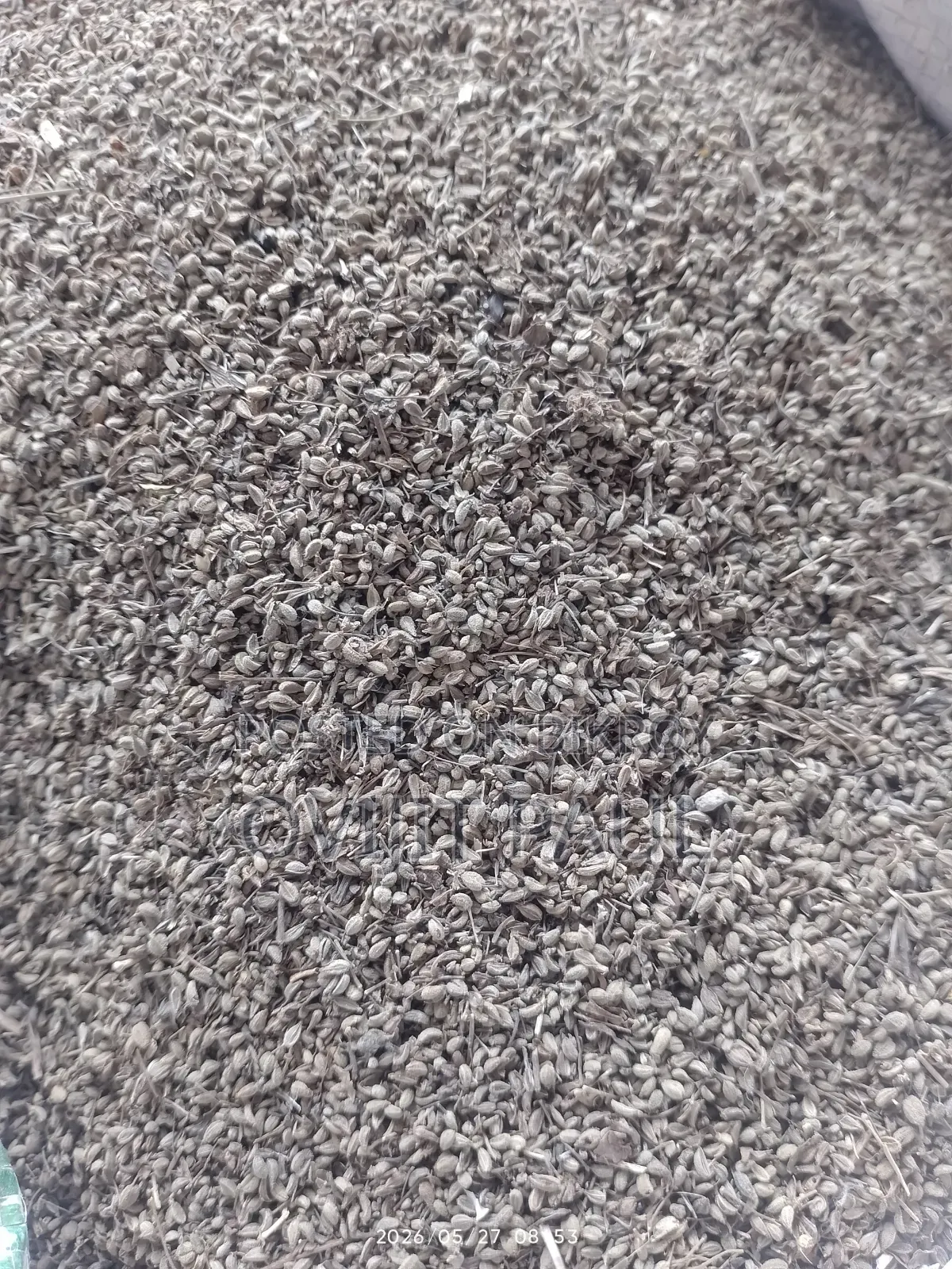 পিওর স্পাইস চিটাগং