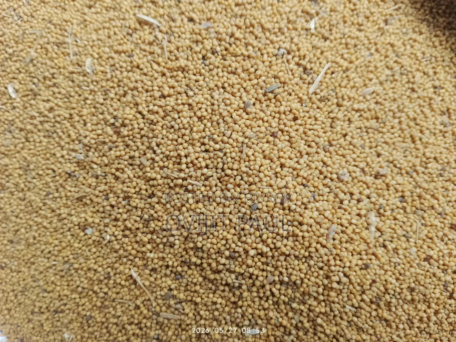 পিওর স্পাইস চিটাগং