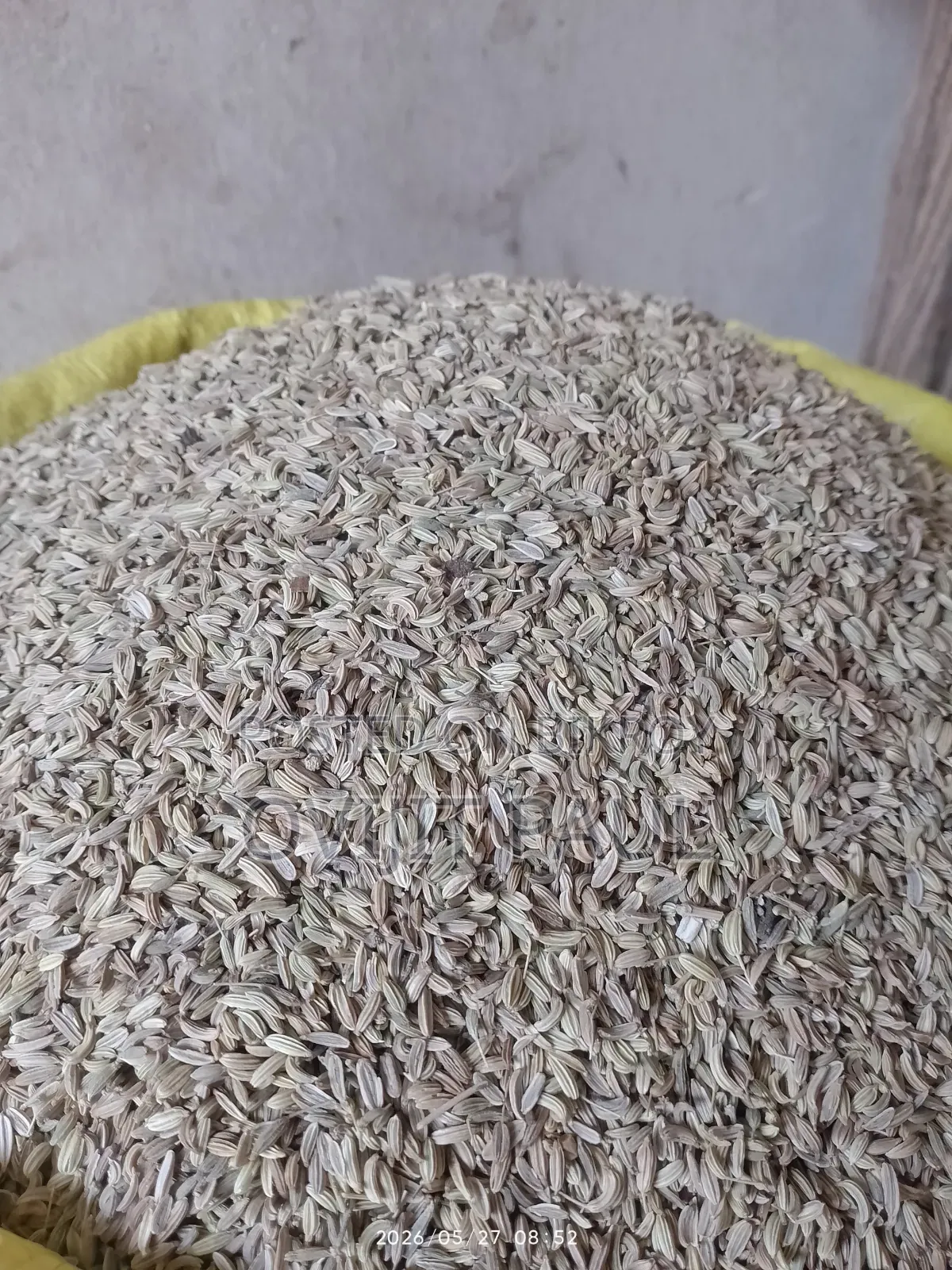পিওর স্পাইস চিটাগং