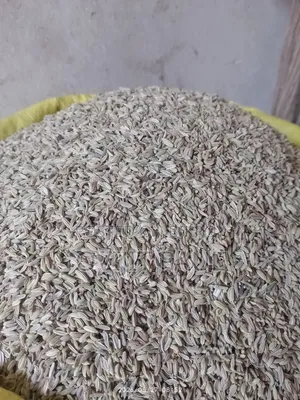 পিওর স্পাইস চিটাগং