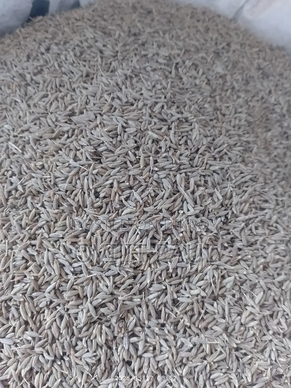 পিওর স্পাইস চিটাগং