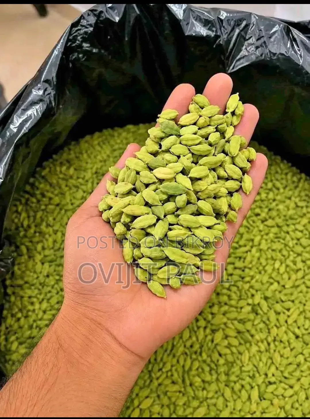 পিওর স্পাইস চিটাগং