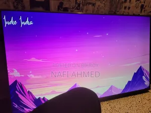 TV (55" Xiaomi TV)