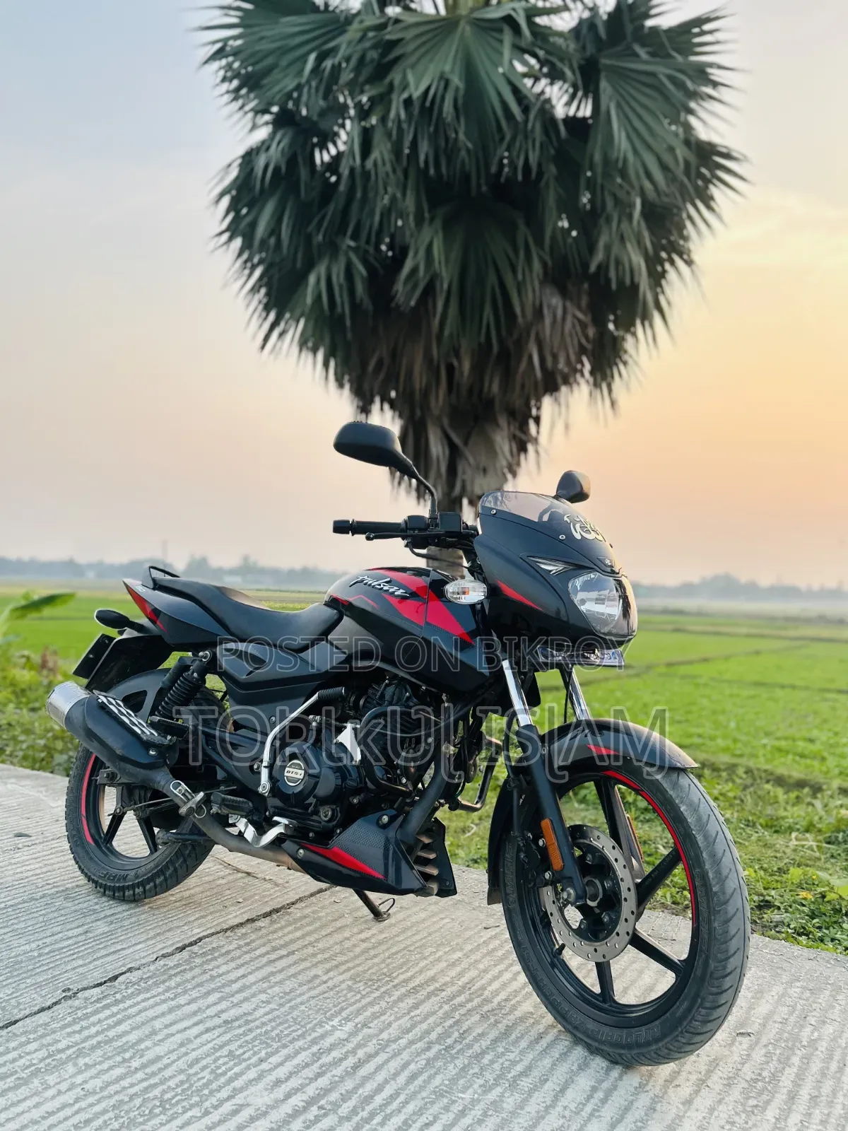 Bajaj Pulsar 150 2023 Red