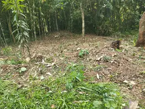 খুবই সুন্দর মনোরম পরিবেশ