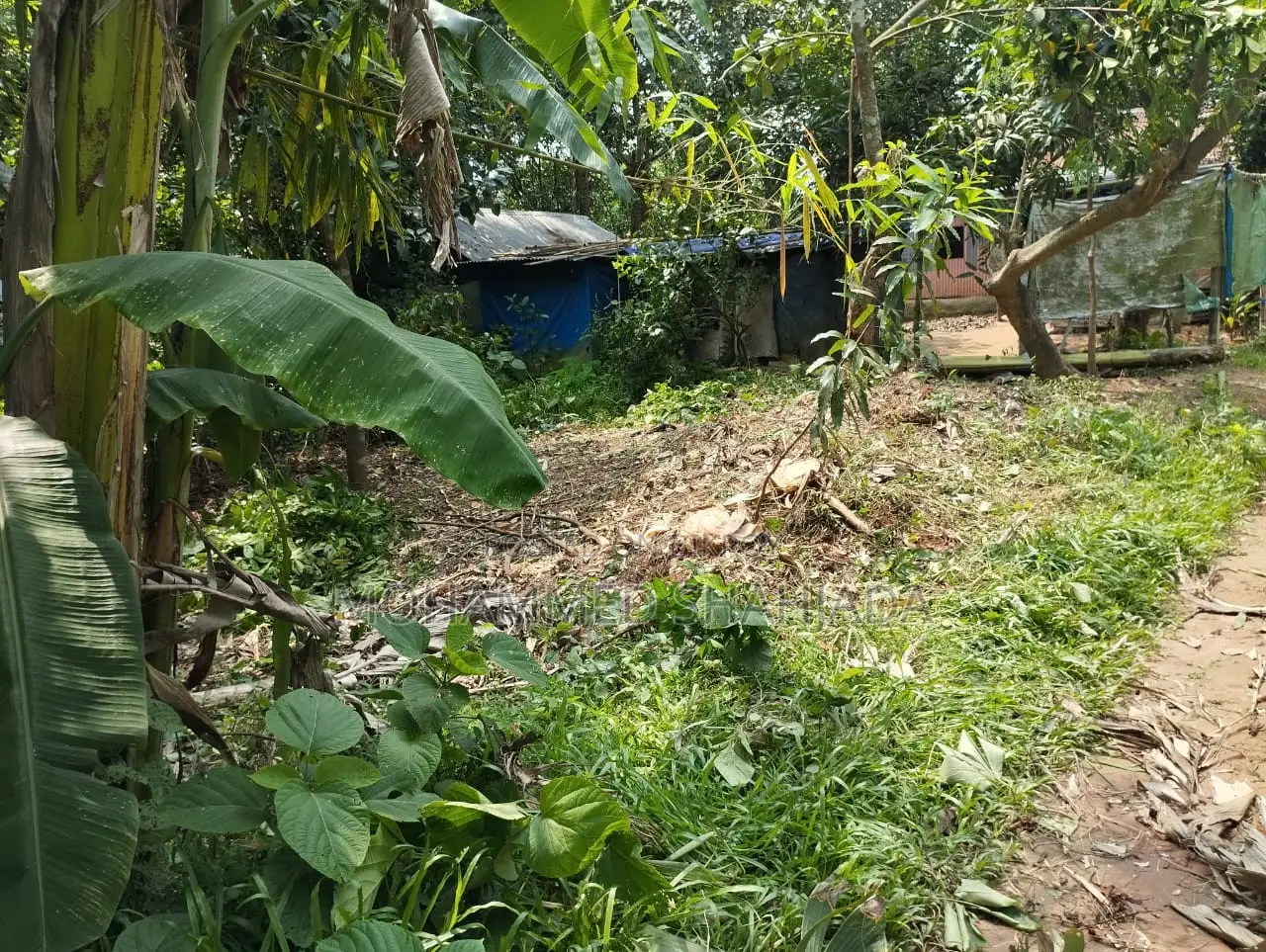 Very beautiful pleasant environment