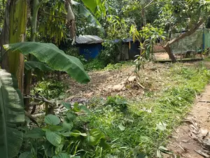 Very beautiful pleasant environment