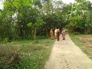 Very beautiful pleasant environment
